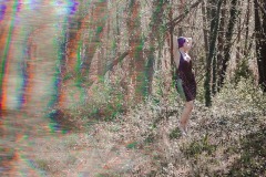 Framboise-01-Foret-31-sur-56