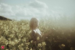 Rack Framboise / photo: Nuno Martins / Colza / 14