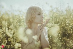 Rack Framboise / photo: Nuno Martins / Colza / 15