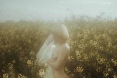 Rack Framboise / photo: Nuno Martins / Colza / 24