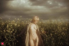 Rack Framboise / photo: Nuno Martins / Colza / 31