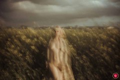 Rack Framboise / photo: Nuno Martins / Colza / 32