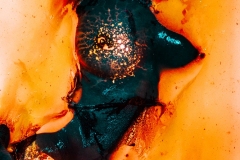 Rack Framboise / photo: Patrick Siboni / Combustion / 34