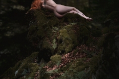 Rack Framboise / photo: Sebastien Barriol / Epigée / 5