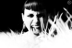 Rage & Madness