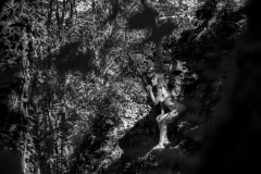 MG_3310