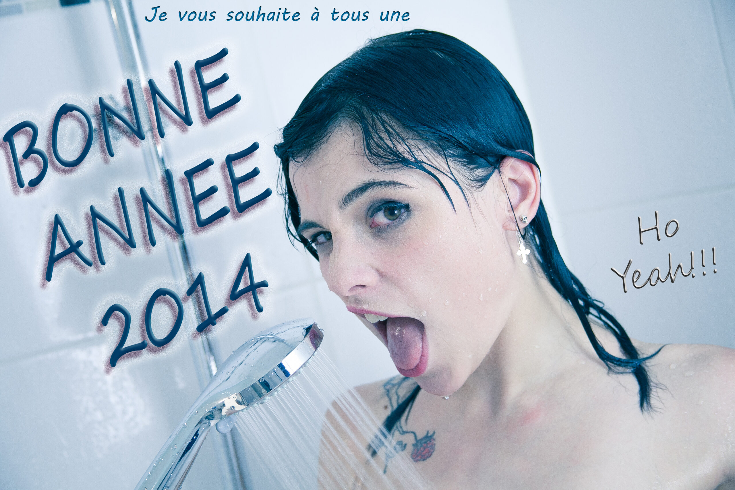 Bonne année 2014